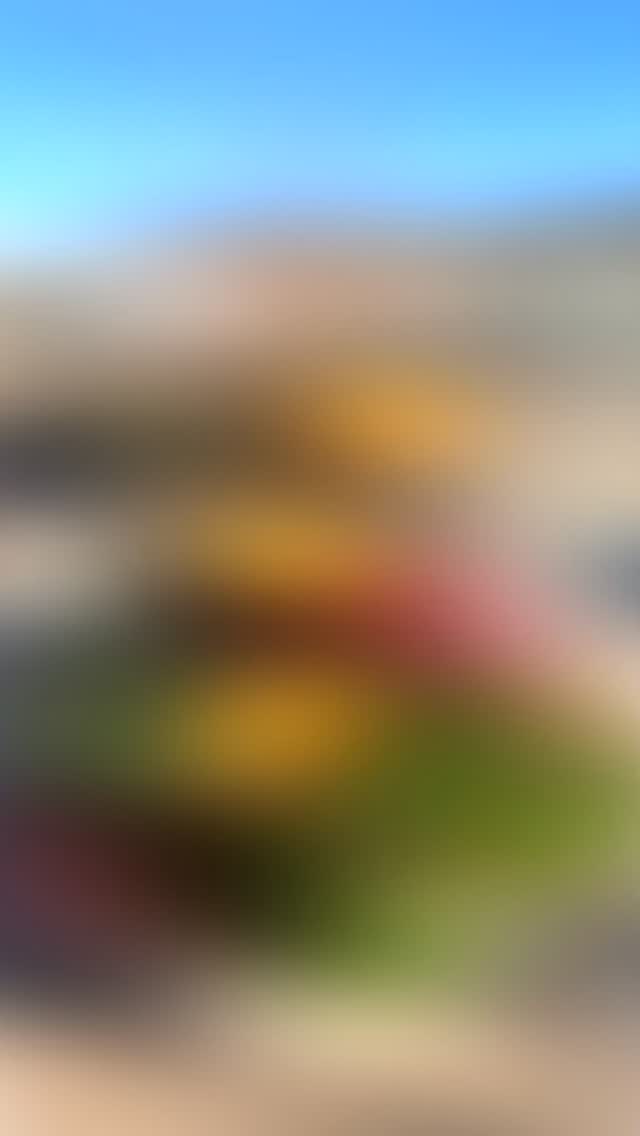 Fall colors & fun-getting creative around here for you our favorite customers 💚#codywyoming #dosomethingyoulove #mylittleplantshop #getdecorating #fallflorals