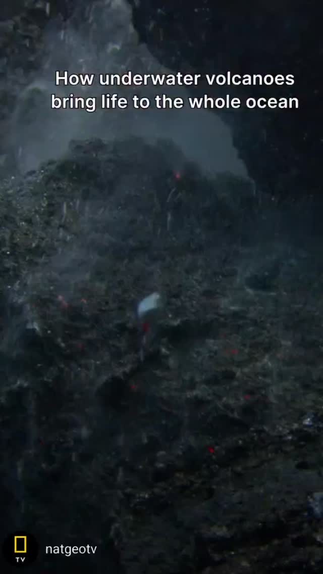 Underwater volcanoes can support entire ecosystems