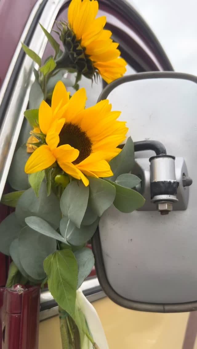 Gestern durften wir eine wunderbare Hochzeit begleiten. 💍✨
Eine perfekte Symbiose aus moderner Technik und unserem historischen Oldie-Bus – Vergangenheit trifft Gegenwart in schönster Form. 🚐💫
Mit dabei: tolle Menschen, großartige Stimmung und einzigartige Emotionen, die uns noch lange in Erinnerung bleiben werden. ❤️
Es war uns eine Ehre, diesen besonderen Tag mitgestalten zu dürfen.
#Hochzeit #OldtimerBus #LoveOnWheels #Hochzeitsbegleitung #VintageVibes #EmotionalMoments #Teamwork #ModernUndKlassisch #deinbrautauto