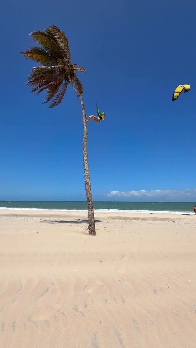 Bom dia! 🇧🇷
@kitemana_com
@dirtyhabitstv
@ozonekites
@rancho.noe.brazil