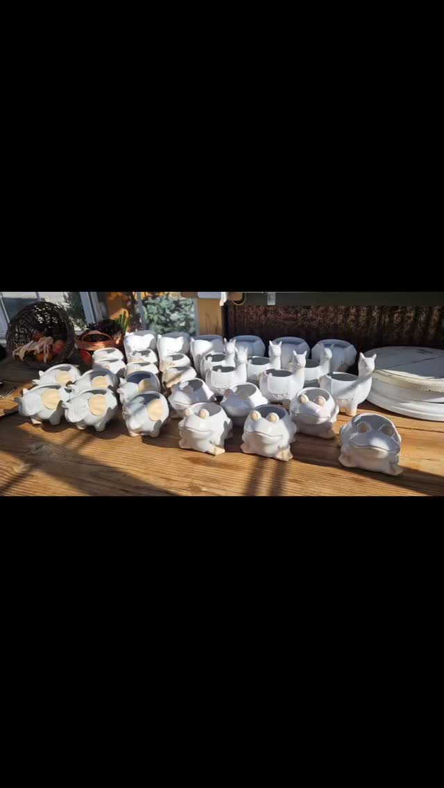 Ooh I was able to get my hands on some amazing pottery-including our ever popular “critter” collection, white clay collection, concrete, & the durable ecoplastic recycled collection that is truly now my new favorite, great colors, durable & light #codywyoming #dosomethingyoulove #mylittleplantshop #zone4gardening #getdecorating #houseplants #pottery