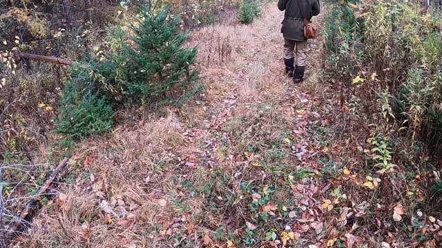 Great day in the North Country grouse woods with Jake, on the 1st day of his 2 day hunt. Many thanks to Jake for supporting Backcountry Hunters & Anglers. We hunted all of the dogs solo throughout the day and got Jake shot opportunities over each of the girls, on both grouse and woodcock. These were Jake’s first experiences hunting grouse and woodcock, and he handled it all with grace and respect for the game, the dogs and safety. For lunch, grouse filet sandwiches fresh cooked in the field. It was a pleasure sharing a day in the woods with Jake. Looking forward to day 2!
@backcountryhunters @newyorkbha #publicgrouse