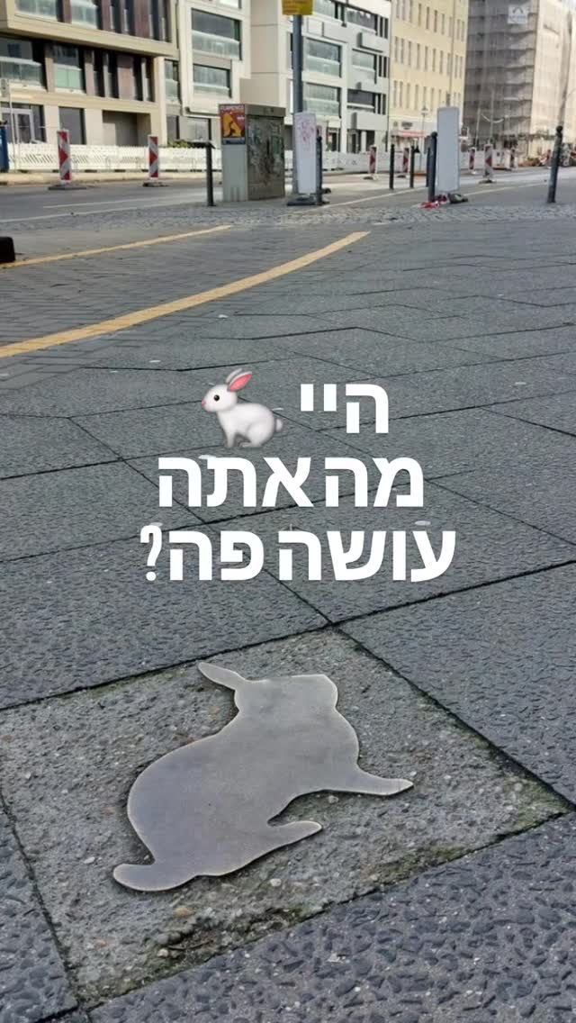 הארנבים של החומה: הסיפור הבלתי צפוי שצריך לדעת על ברלין.
כשחושבים על חומת ברלין, חושבים על בטון, שמירה ודיכוי. אבל יש סיפור הרבה יותר מרתק על מה שקרה ב'רצועת המוות' - האזור שבין החומה המזרחית למערבית.
האזור הזה, שנועד למנוע כל בריחה, הפך באופן אירוני לגן עדן לארנבים. במשך שנים, הם חפרו מחילות מתחת לחומה, התרבו בחופשיות, והפכו לסמל בלתי צפוי של הנמלטים והיכולת לשרוד. זהו סיפור קטן ונוגע ללב על החיים שהמשיכו לפרוח בצל המוות.
רוצים לדעת איפה בדיוק היה 'שדה הארנבים הסודי', ומה זה אומר על רוח החופש של העיר?
כל הפרטים מחכים לכם בפוסט המלא בבלוג! קישור בביו.
#חומתברלין #הארנביםשלחומתברלין #ברלין #היסטוריהנסתרת #BerlinWall #Kaninchenfeld #RabbitsOfTheWall #BerlinHistory #Freedom