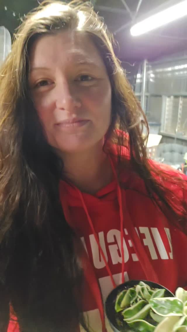 Friends i do givvys through my tictok lives every single month. Join in on my lives to get in on them! Let me know what youd like to see given away!
#thehenandthechick #smallbusiness #smallfarm #greenhouse #plants #plantsofinstagram #tropicalplants