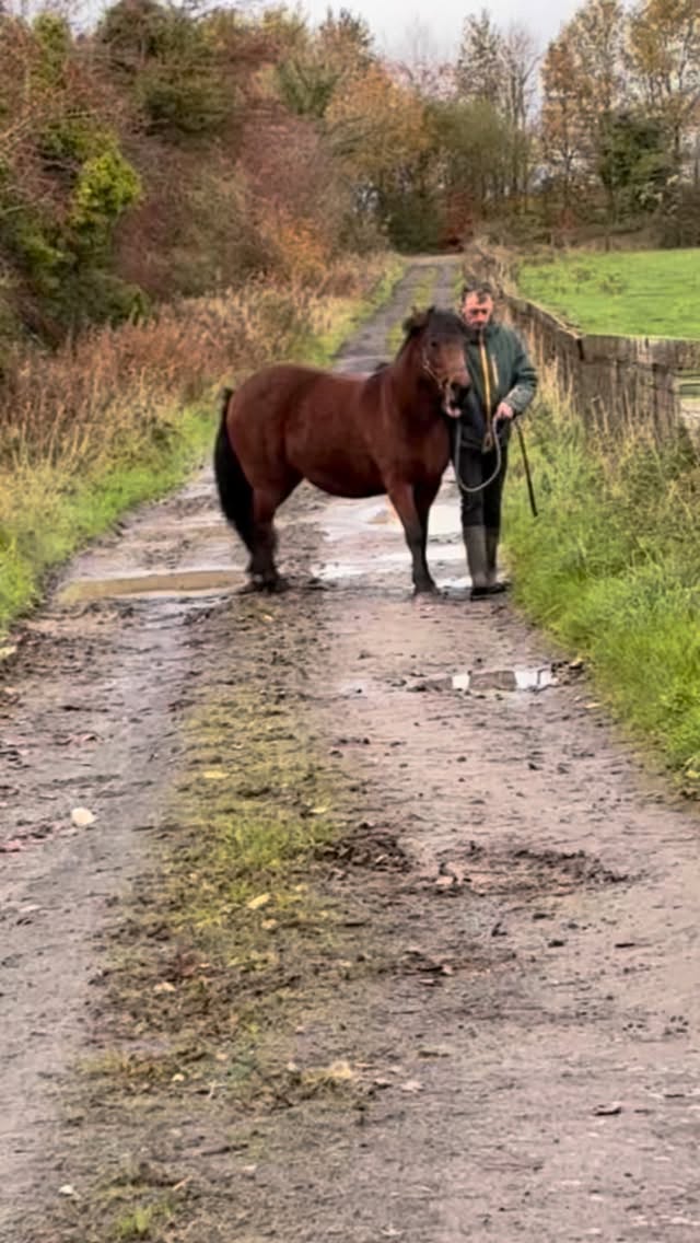 Give a man the benefit of the doubt! Everyone’s imagination when I say ‘I’m running late’🐴⏰