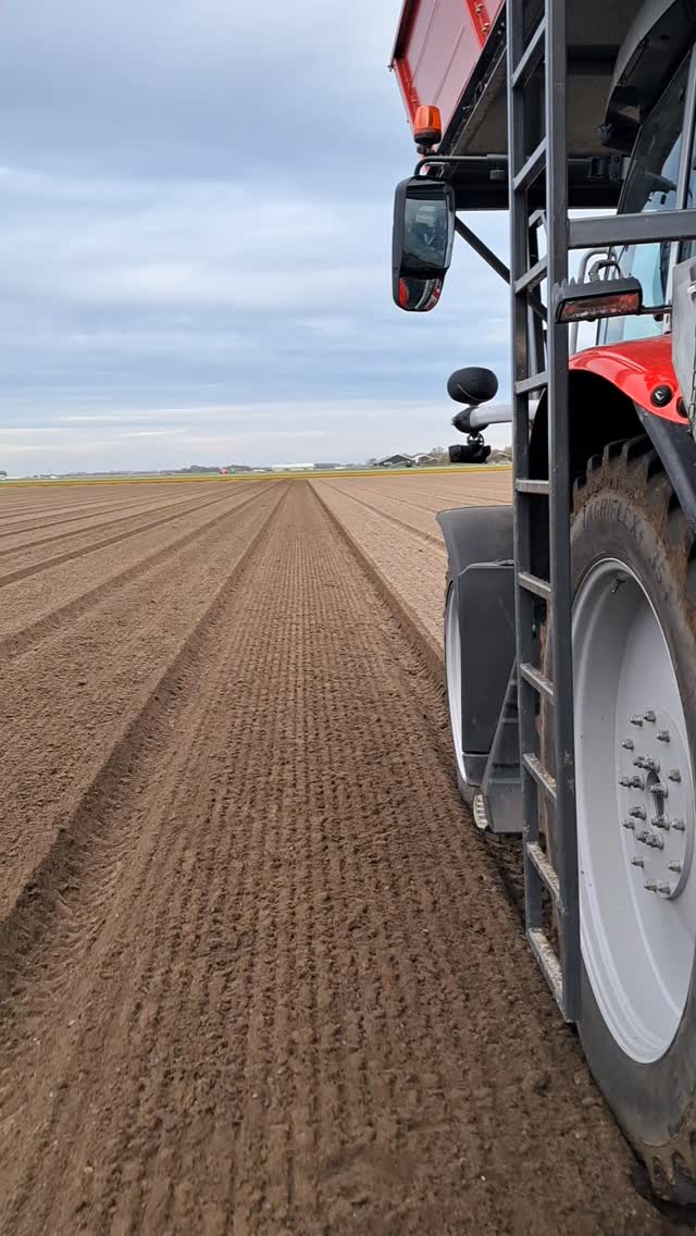 De tulpen worden weer geplant🌷😀