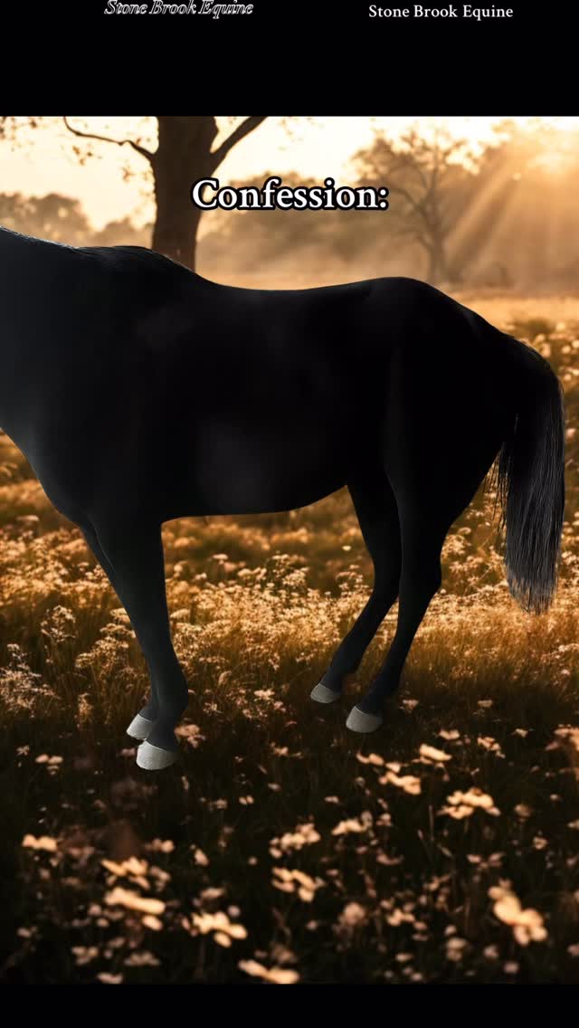 Take a close look 👀
You’ll notice the weight shifted heavily onto the forehand, the back dropped through the topline. The neck is slightly braced, and the core isn’t engaged to support the spine.
The hind legs are camped under the body, not to engage the core, but to guard the sacrum and relieve pressure through the hind end. When a horse tucks its hind legs like this, it’s often a sign of discomfort in the sacroiliac region or tension through the lumbosacral junction.
🌿 This posture tells me a lot: the glutes and hamstrings are likely tight, the abdominals are weak, and the horse is relying on the front end to do most of the work. Over time, that leads to soreness through the shoulders, tension in the poll, and a cycle of poor posture and imbalance.
✨ How owners can help:
Use gentle massage along the topline, hamstrings, and glutes to release tension.
Add short, focused core activations like belly lifts, backing up in-hand, and slow hill work.
Encourage stretching with carrots to the chest and between the knees to engage the core.
Posture like this isn’t “bad behavior” — it’s the body showing you where it hurts. When you restore balance through massage and movement, the entire outline changes — from hollow and heavy… to lifted and light. 💫
🌿 Follow for more horse tips
🌿 Learn how to massage your horse today at Stone Brook Academy 💕 Links in bio!
🌿 Comment LEARN for your free acupressure guide for the sore back
#ranchlife #equestrian #farmlife #holistic #healer #equinemassage