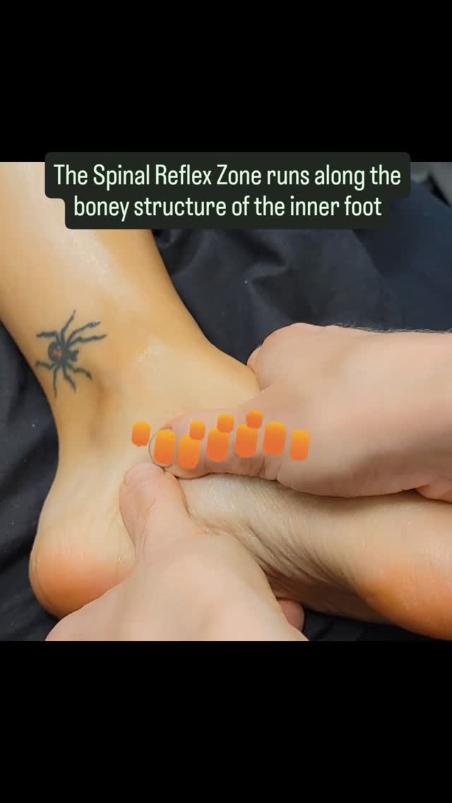 Working the spinal reflex zone along the inner arch supports nervous system balance, eases paraspinal tension, and can improve foot function — helpful for clients experiencing plantar fasciitis👣☯️🌷
#yycspa #yycreflexology #reflexology #rcrt #yycrcrt #hapoyfeet