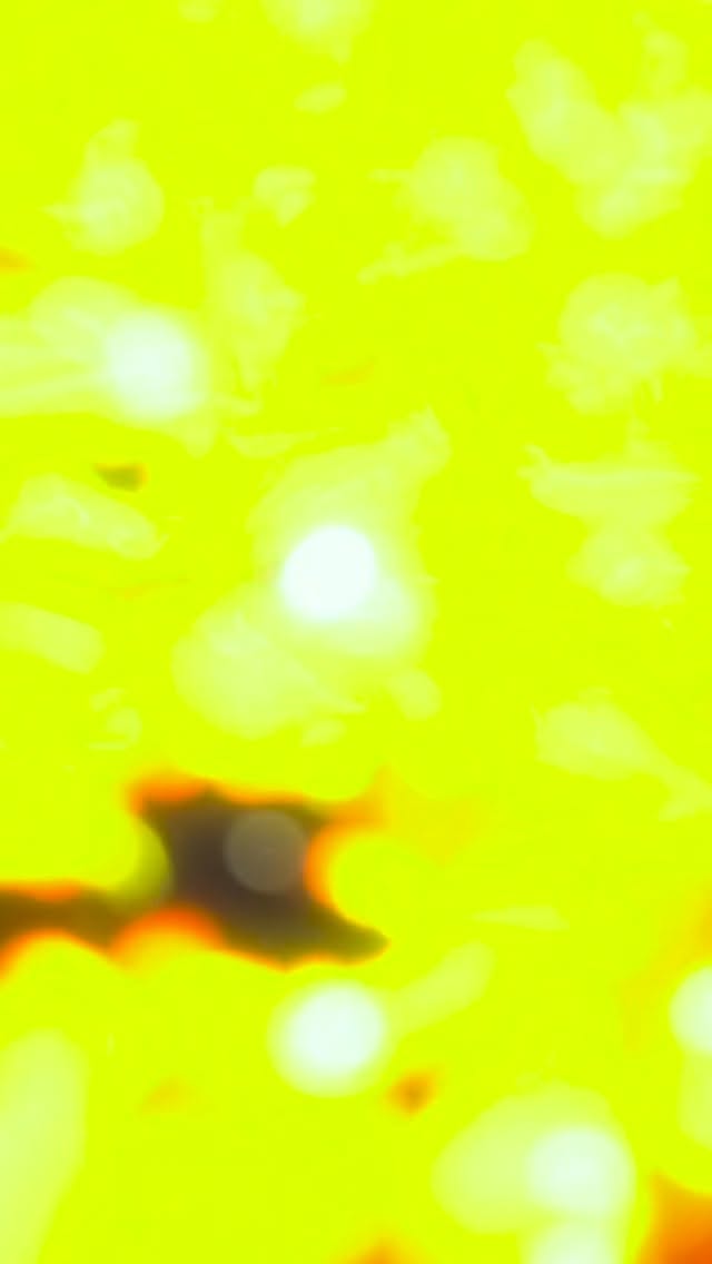 I am incredibly blessed to have connections that extend beyond food to embrace tradition and culture. Thank you all for the amazing work we accomplished together to create this altar de amigos. I have no words to express my gratitude. Muchas gracias, amigos.
Día de Muertos is a vibrant celebration of life where we honor our deceased loved ones. We create altars, known as ofrendas, adorned with their favorite foods, drinks, mementos, and marigolds.
Thanks to La Coalición and Levine Museum of the New South for keeping this tradition alive that reflects unity and happiness.