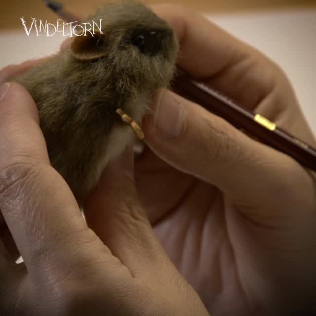 Bli med bak kulissene på Vindeltorn! Her tegner @hansjorgensandnes hovedkarakteren Rufus.
Lenke i bio!