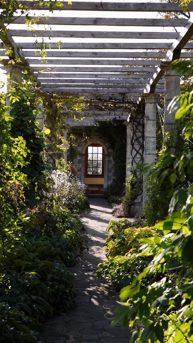 @westdeangardens - you wear autumn beautifully. Flowers still holding their colour, chickens content beneath the turning trees, produce gathered like small trophies of the season.
Balanced between summer’s brightness and winter’s hush, and I was lucky to wander through it.
#westdean #westdeangardens #autumn #garden #autumngarden