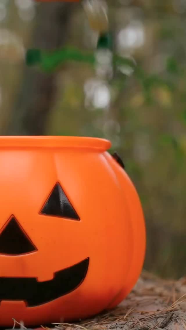 🎃👻 It’s getting cheeky & spooky! 👻🎃
Today and tomorrow, we’re dressing up for Halloween — just to stir up some fun (and maybe a few chills 😜).
Visit us if you dare… and don’t forget to rock your scariest costume too!
See you for lunch,
💚 The Cheeky Pea Team
#HalloweenAtThePea #CheekyAndSpooky #TrickOrTreatYourself #HalloweenVibes #TheCheekyPea