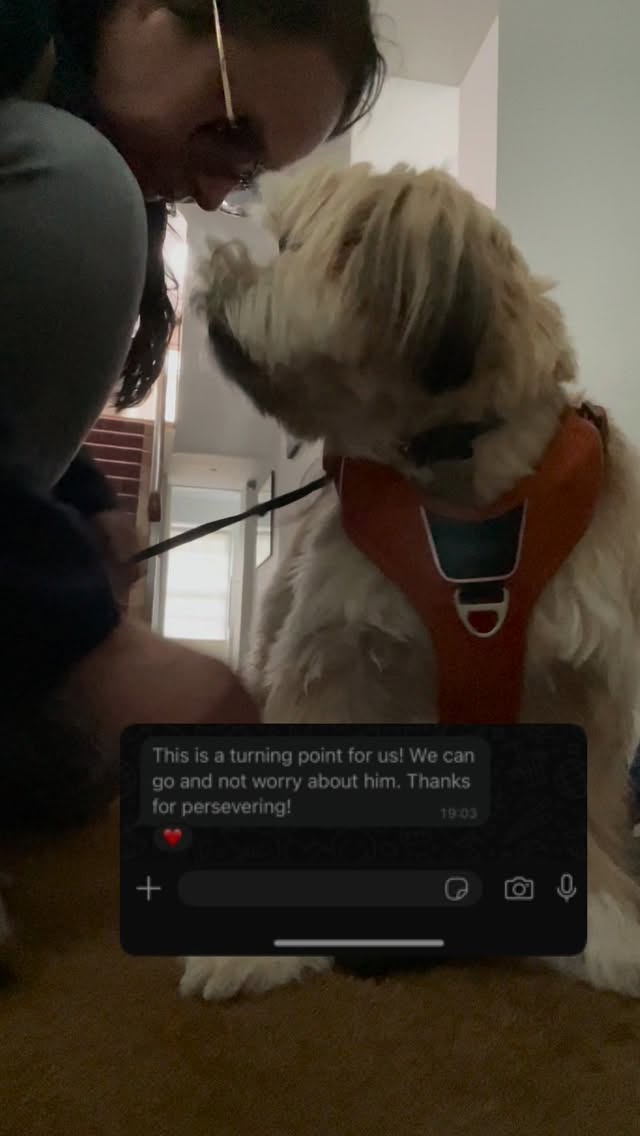 From fear and frustration to freedom and trust 💜
Imagine being stuck at home because your puppy was too scared and would bite anyone who tried to put the harness on! And now, you can go on holidays worry-free because your doggie finally trusts humans again !
We’ve been working with Ricky for about 3 weeks now through my Walk & Train program, and he is now a different dog! He isn’t afraid of the lead anymore 🥹
He allowed me ( and other humans) to put his harness on calmly and enjoyed his walk 🦮✨
Helping dogs like Ricky learn that the world (and people!) can be safe and fun again is what I love most about my job.
If you’re struggling with challenges with your doggie send me a DM 💌 I’d love to help make life easier for both you and your pup.
#DogTrainingLondon #WalkAndTrain #PuppyTraining #DogBehaviour #ReactiveDog #DogTrainerLondon #PuppyTrust #HappyDogHappyOwner #CanineConfidence #UrbanPaws #DogLoversUK #PositiveDogTraining #LondonDogs