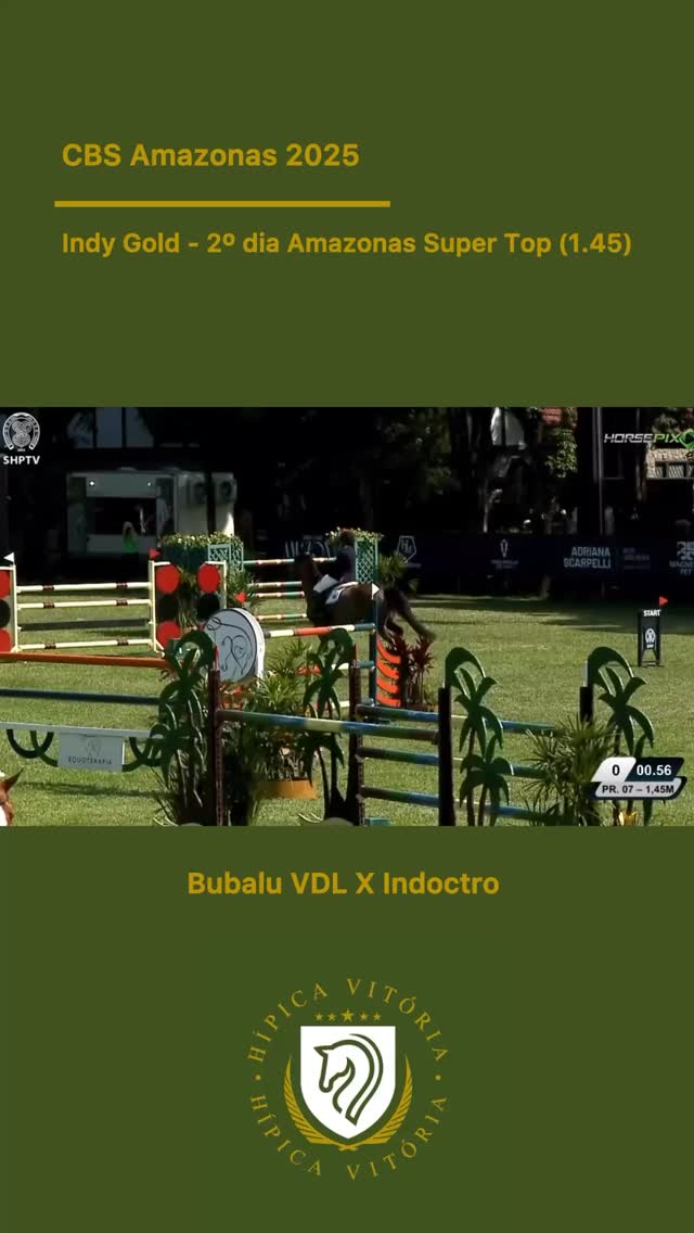 🏆 Segundo dia de CBS Amazonas 2025 na Sociedade Hípica Paulista.
Giovanna Baptista Braz & Indy Gold (Bubalu VDL x Indoctro) seguem com zero pontos rumo à final! ✨
No dia de hoje, conquistaram um excelente 2º lugar! 🔥🐎
#hipicavitoria