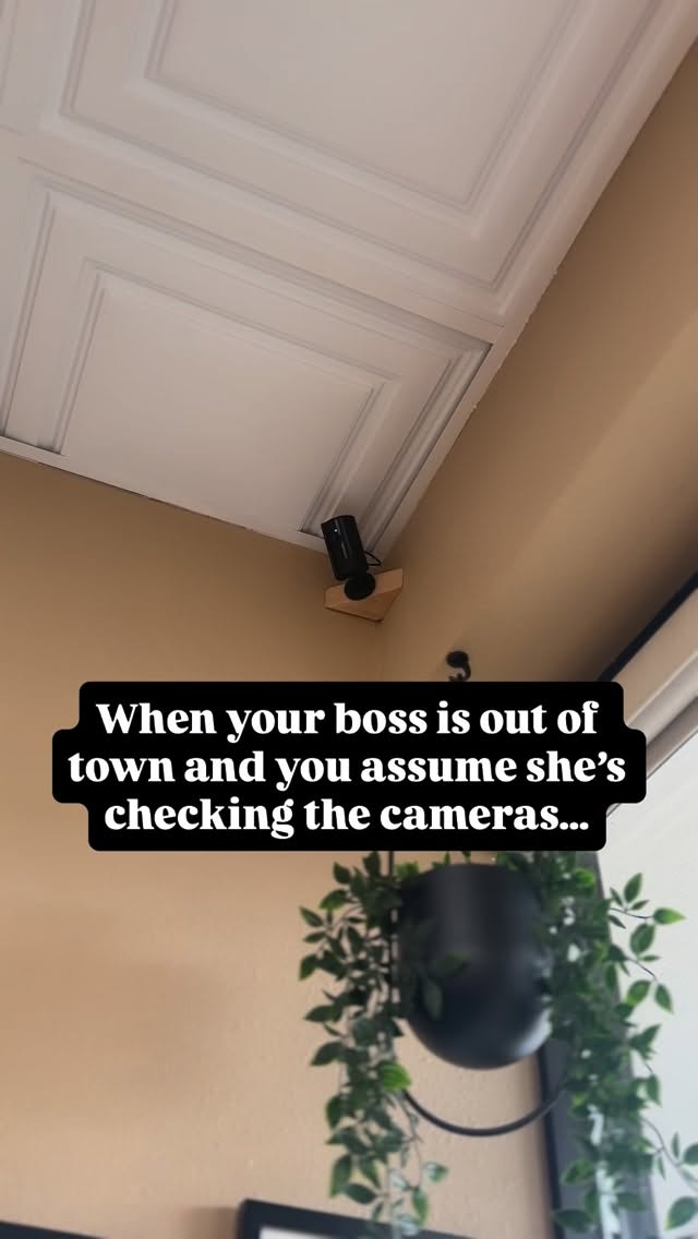 You never know… 🤷🏻♀️ We just wanted to say hi. 🤭❣️
.
.
.
.
.
#artehairstudio #bellevuehair #bellevuesalon #bellevuehairsalon #rentonwa #rentonhairstylist #modernsalon #bellevuehairstylist #bellevuewa #salonreels #salonfun #salonhumor #lifeofabusinessowner