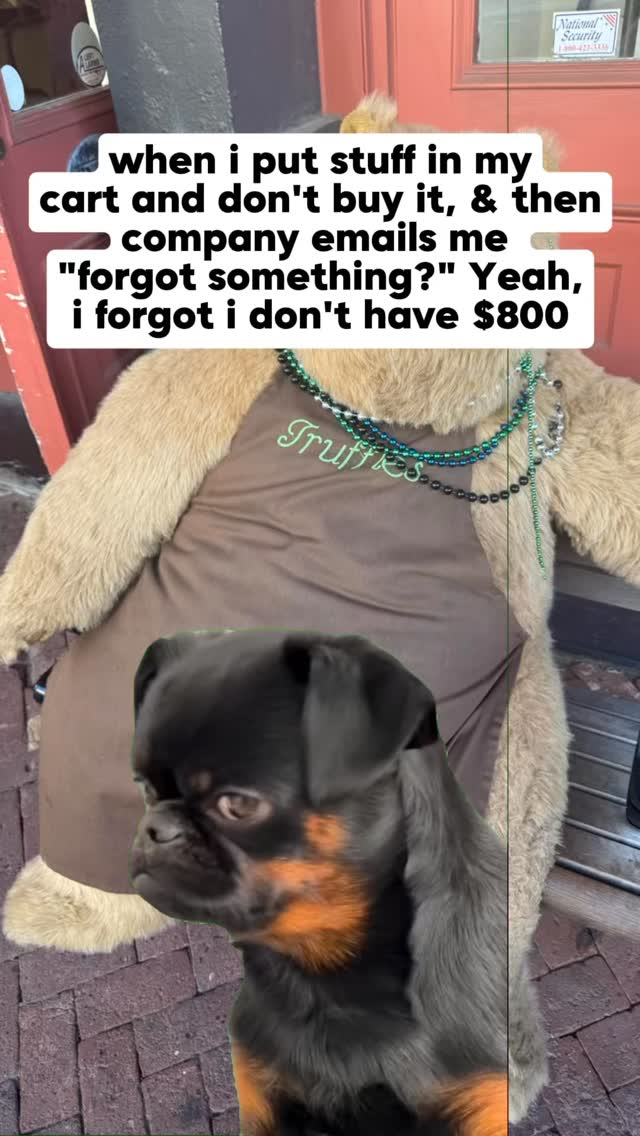 You know it was $800 worth of dog treats & toys🤣🤣 Join us at DOGAROOO — the Ultimate Dog Convention! 🐾🐕🐩
Mark your calendars 🗓️ March 6–7, 2027 at the @pasadena_conventioncenter in Pasadena, CA! This is the can’t-miss event for dog lovers everywhere. 🐶✨
Here’s what you & your pup can look forward to:
✨ Vendors & Sponsors with treats, toys, food & must-have products
🎓 Meet & learn from some of the world’s top dog trainers
🏡 On-site adoption area in partnership with local shelters ❤️
👑 Dog costume contest + “Best in Show” competition
🌳 Dog park, pet games, dog art, fashion and fun for the whole family
Our mission at Dogarooo Convention is simple: create the ultimate experience for dog owners while helping pups across California find their forever homes. 🐾
🐕💼 Interested in sponsoring or booking a booth? Email us through the link in our bio today!
📍 Pasadena Convention Center
📅 March 6–7, 2027
#Dogarooo #DogConvention #pasadenadogs #DogParents #DogsOfInstagram #amazonpets #amazondogs #convention #conventions #rescuedogsofinstagram #dogevent #dogreels #doginfluencer #doginfluencers #doginfluencersofinstagram #dogtoysofinstagram #petexpo #funnydogvideos #funnyreel #reactionmemes #funnydog #losangelesdogs #cutedog #doginfluencersofinstagram #funnydogreels #funnydog #funnydog #dogmeme #dogs #funnydogmemes #dogsarethebest #pugs #funnyreel