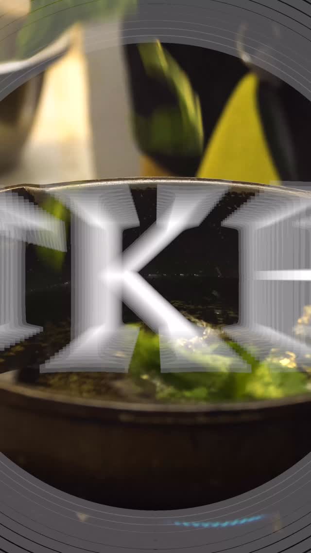 Planning your wedding for 2026 but haven’t locked in your caterer yet?
We host food tastings at our headquarters so you can experience the flavours, presentation, and magic before the big day.
Want to join our next tasting?
Get in touch, we’d love to feed you! 🍽️💕