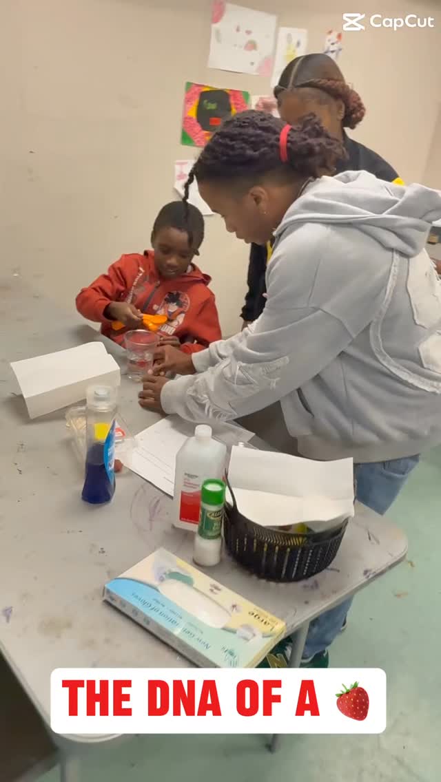 Discovering the Mysteries of Strawberry DNA 🍓🔬
Did you know that strawberries have DNA just like humans? This fascinating fact was the centerpiece of an exciting STEM activity held at our club, thanks to the visit from @howardhshuskies
seniors, Tabias and Aniyah.
These talented students took on the role of instructors for the experiment, guiding our club kids through a hands-on lesson that transformed them into little scientists.👩🏾🔬 🧑🔬👨🏾🔬
Tabias and Aniyah introduced the club kids to the concept of DNA, explaining its significance in both plants and animals. The young scientists were then given the opportunity to conduct a DNA extraction from strawberries, a process that allowed them to witness the strands of DNA firsthand.
Preparation:
Club kids learned how to mash strawberries to break down the cell walls.
Extraction Solution:
They used a mixture of dish soap, salt, and water to release the DNA from the strawberry cells.
Filtration:
The mixture was filtered to separate the solid bits from the liquid containing the DNA.
Precipitation:
By slowly adding cold alcohol to the solution, the DNA precipitated out, forming visible strands.
The activity was not only educational but also incredibly engaging, sparking curiosity and excitement among the club kids. They were amazed to see the DNA materialize before their eyes, gaining a better understanding of how it connects all living things, from strawberries to humans.
This hands-on experience reinforced key scientific concepts and illustrated the importance of STEM education. It provided the club kids with a tangible understanding of DNA, fostering a love for science and discovery.
A huge thank you to Tabias and Aniyah for sharing their knowledge and enthusiasm and inspiring the next generation of scientists. We are proud to offer these enriching educational opportunities that encourage learning and exploration.
Together, we are nurturing curious minds and empowering our youth to pursue their interests in STEM. 🌟 #STEMEducation #DNAExtraction #YouthEmpowerment #BGCCG #ScienceIsFun