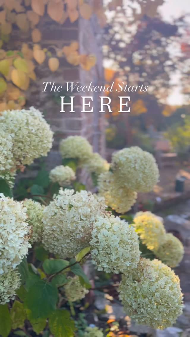 The weekend is here 🙌🏻
I hope you find some time to rest, rejuvenate, and breathe again.… 🌱
I’m craving the simple pleasures of home: a cracking fire, family around the table and a little peace and quiet….
Have a good one xx