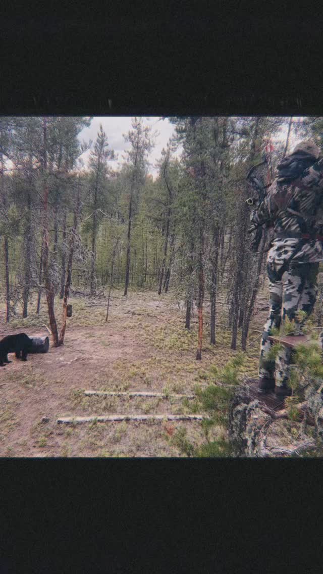 Colby with the ** thwap **
About as good as it gets right there.
â˘
Watching this video back is so cool. Itâs not very often you get to see the whole story from the stand.
â˘
#ubiquitylakeoutfitters #booneandcrockett #blackbear #northernsaskatchewan #slockem #flynorth #bearcamp