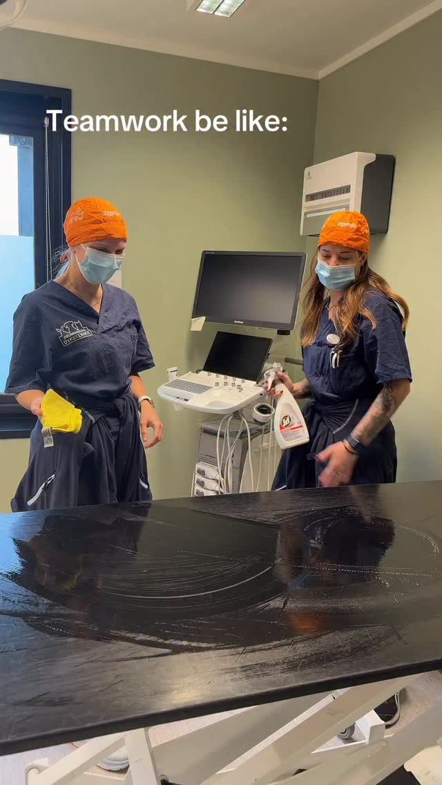 Her tar vi renhold og teamwork på alvor