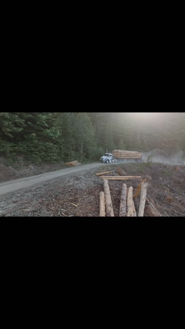 Gearās loaded. Trucks are warming up.
The woods are calling. š²
Hereās a look at the morning line-up before boots hit the dirt.
Nothing beats the sound of a fresh start in the field.
#ChiltonLogging #FieldReady #LoggingInAction #TruckLife #PNWForestry #TeamChilton #LoggingEquipment