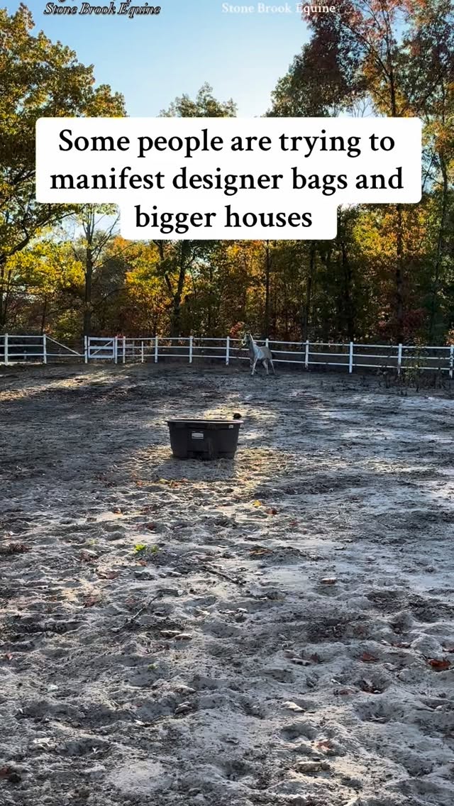 ✨🔮🌿✨One horse at a time ✨🔮🌿✨
#equinemassage #healer #equestrian #holistic #healingenergy