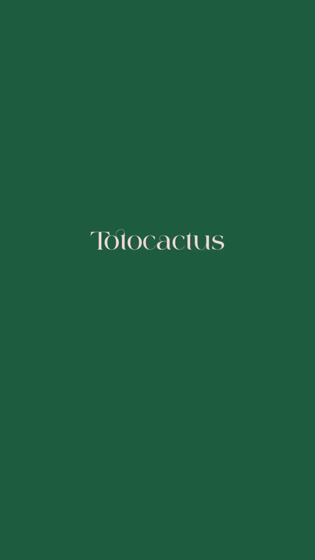 Where late nights turn into something beautiful.
From scattered sketches to a garden of ideas, she built her world one page at a time.
Love found its form in paper, color, and care, every detail touched by heart. 💛
The dream was no longer just hers, it was alive.
🌸 Watch Part 2 of The Dream in Bloom.
#totocactus #everydaymagic #paperlover #stationary #business #art #reels #bageecha #animation #brandstory #founder #founderstory