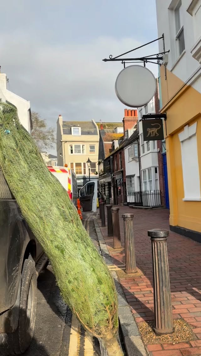 First Christmas tree drop of the year DONE ✨
Our website is live now for your personal & commercial tree orders 🚚 find alllll the info you need at www.thexmastreeboys.net
(Please note, we start delivering to homes from the 26th November! Commercial deliveries start now)