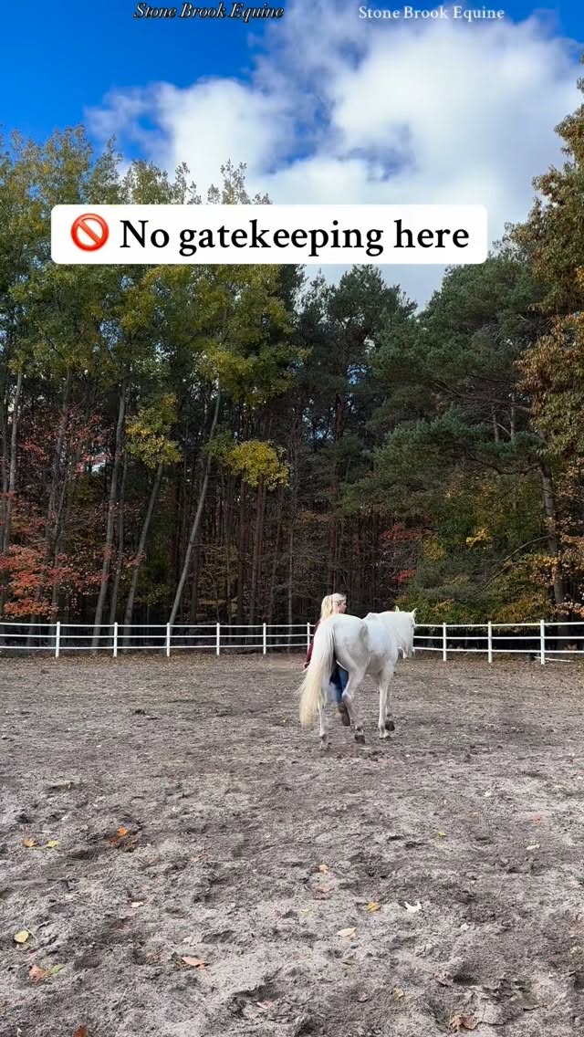It’s not laziness or clumsiness. When a horse stumbles, it’s their body screaming that something’s off. As an equine bodyworker, I see this all the time — and it almost always traces back to muscle imbalance and restriction.
Here’s what’s really happening
➡️ Tight chest & shoulder muscles (like the brachiocephalicus or pectorals) limit stride reach.
➡️ Restricted fascia through the thoracic sling blocks smooth scapula movement.
➡️ Neck tension throws off coordination and balance.
➡️ Weak hind end muscles force the front end to overcompensate — causing slips and trips.
💫 The fix?
Equine massage therapy + targeted rehab exercises. These release tension, restore correct muscle chains, and improve proprioception so your horse moves with confidence and stability again.
✨ Balanced muscles = smoother rides, fewer stumbles, and a happier horse.
If you’re ready to learn how to do this yourself —
🌿 Join Stone Brook Academy!
You’ll master hands-on techniques to relieve tension, activate proper movement patterns, and support long-term soundness (while saving $$$ on vet bills).
🌿 Comment LEARN to get your free acupressure guide
#holistichealth #healer #ranchlife #equestrian #massage