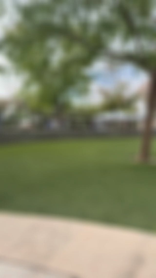 There’s something special about being a Blue Knight 💙⚔️
We asked our students what they love most about DPAC — and their answers remind us why this community is one of a kind.
Now it’s your turn!
💬 What’s YOUR favorite thing about DPAC?
Drop your vote below or tell us in the comments 👇
#WeAreDPAC #BlueKnightPride