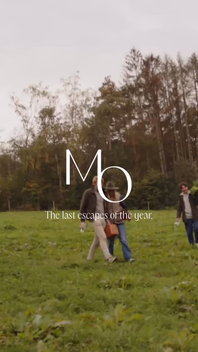 Last bookings available:
End of year:
17-27 nov
1-2 dec
15–29 dec
Beginning of year:
3-8 jan
12-22 jan
26-29 jan
Reserve your dates before they’re gone via link in bio.