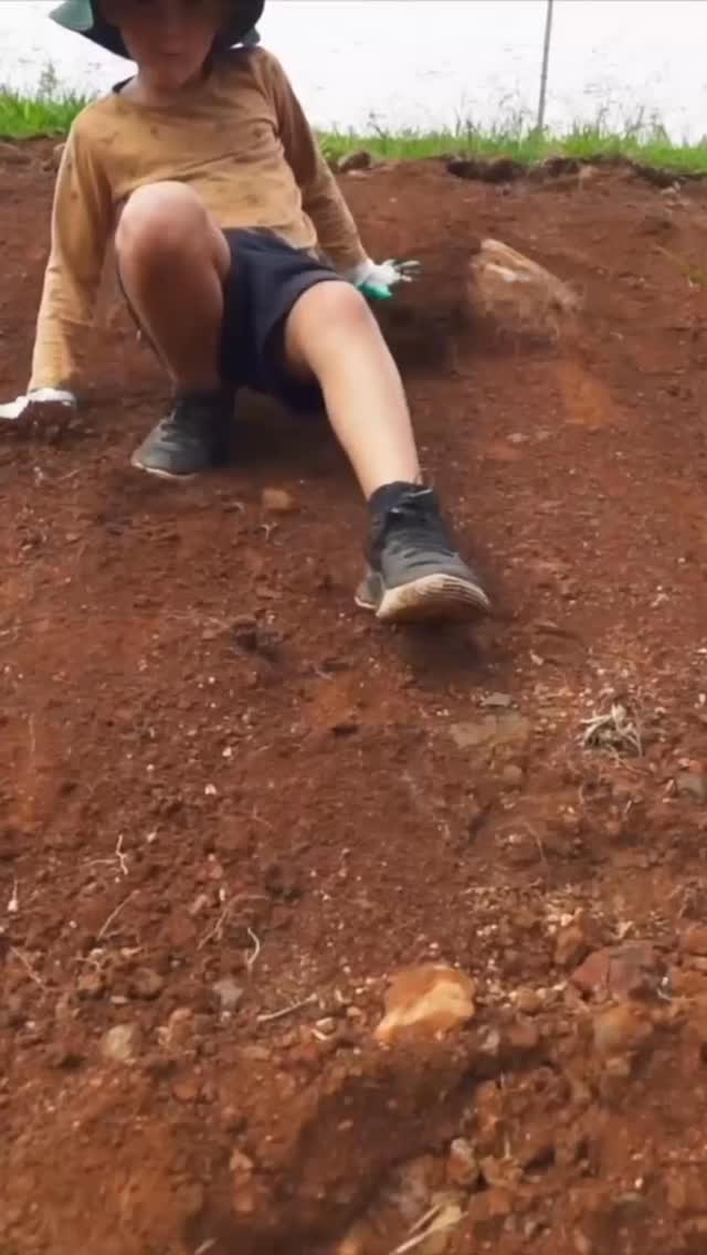 In 2020, we planted 2,500 native seedlings on our property in Goonengerry, with the help of the incredible community we live in. Five years on… you can see for yourself the difference.
Looking forward to our next planting in early 2026! Make sure you’re signed up for our newsletter to be notified of this event 🌱
🎥 @wideanglevision
#cromwellfarms #bushregen #regeneration #bushregeneration #nswbush #byronbay #northernnsw #nativebush #bigscrub #rainforest