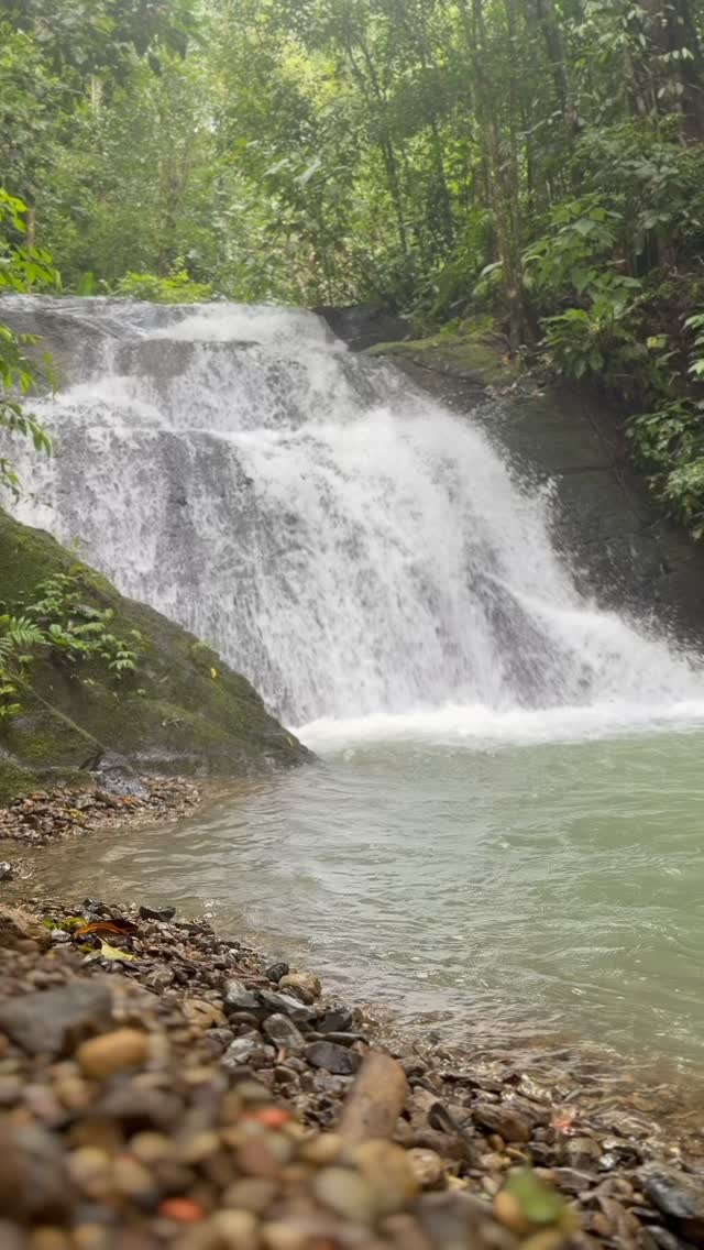 “Water holds the memory of everything it touches.
When you step into it with presence, it doesn’t just cleanse your body, it resets your vibration.
Nature speaks in frequency, and water is its most honest language.”
— Ana Harihar 🌿💧
##VibrationOfNature
#WaterHealingEnergy
#SacredReturn
#EnergyInFlow