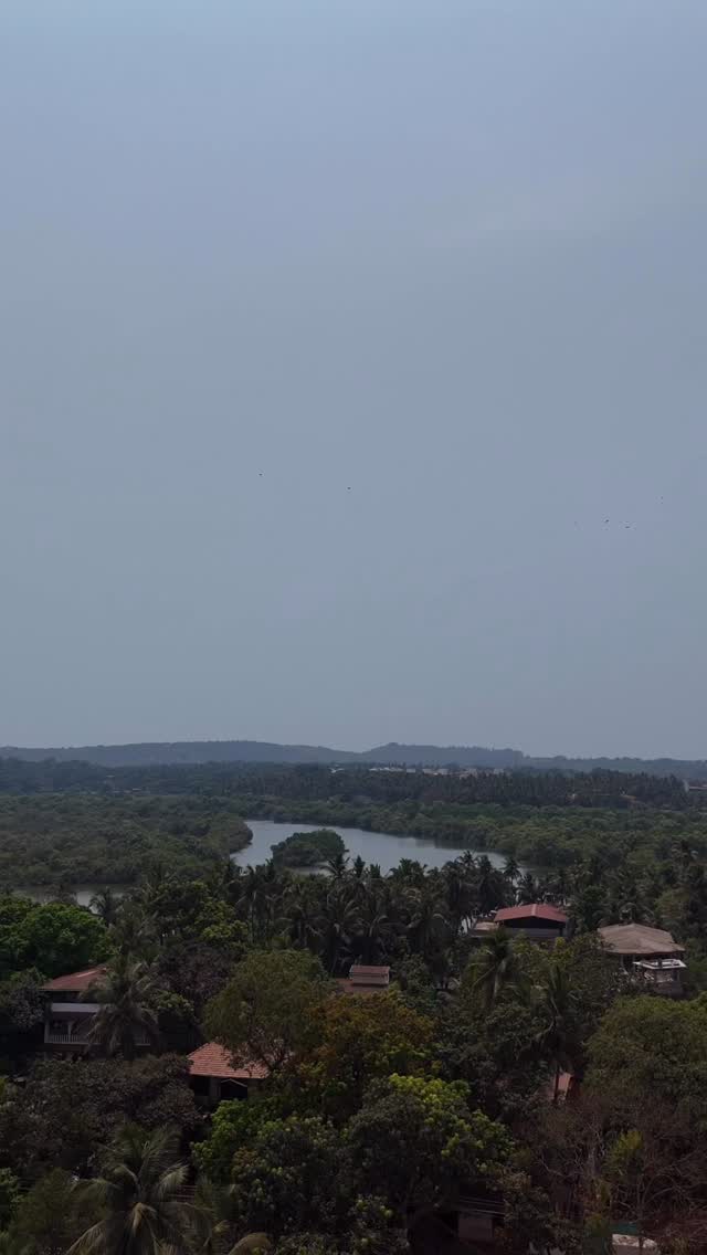 This is your sign to stop scrolling and start packing!✨
.
.
.
#goafinds #weekends #grandmercuregoacandolim #discovergrandmercuregoa #luxurylifestyle #accor #livelimitless #antarimresort #discovercultures
.
.
.
{Goa, trip, weekends, resort, goa stays, goa finds, weekending, travel, luxury}