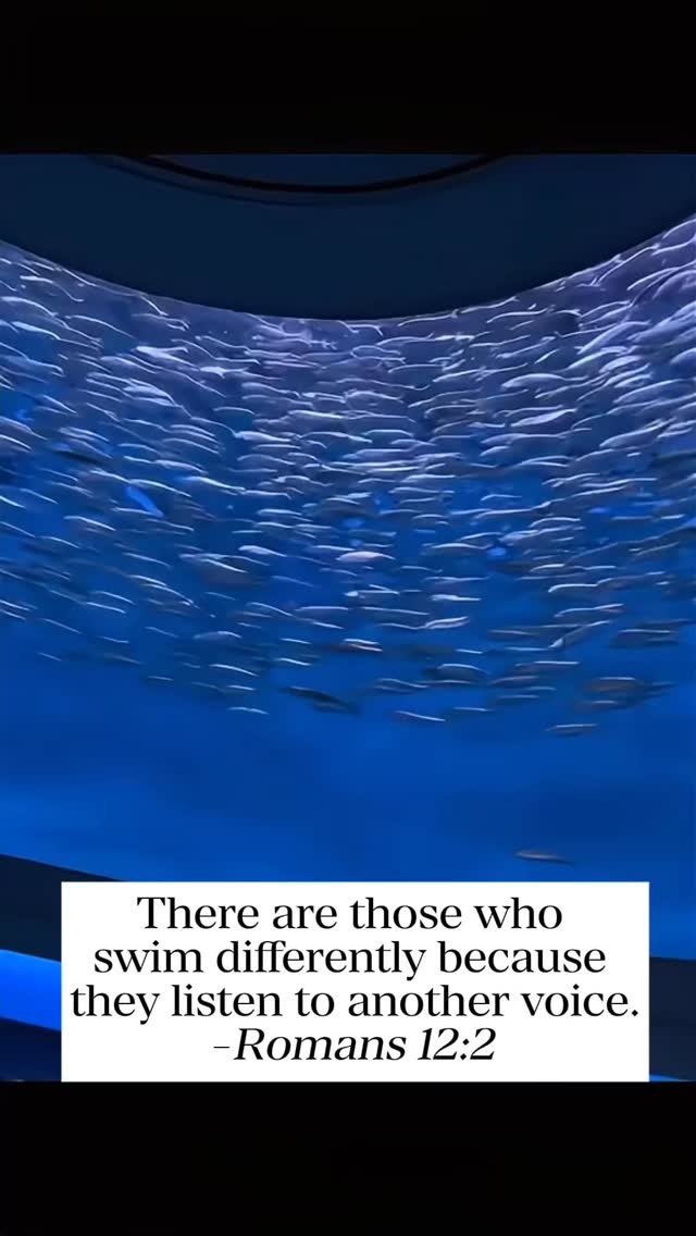 Sometimes walking a different path just means you’re listening to a higher voice. ✨
#romans122 #faithjourney #trustthepath #renewyourmind #divineguidance #lightwithin #spiritualgrowth