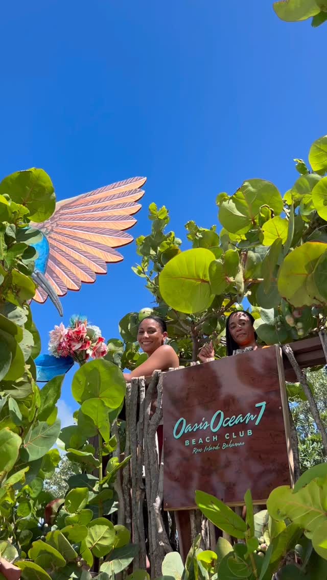 Our Seagrape Tree has been good to our guest this Season! They Were Ripe, They Were Sweet and We Were Addicted!❤️🍇😃 🇧🇸
🎶@officialladye242 rikcareyofficial
#oasisocean7beachclub #Addicted #itsbetterinthebahamas #seagrapes #roseisland #bahamas #swimmingpigs