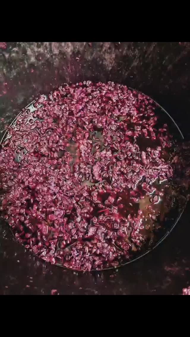 La vinification touche à sa fin avec les écoulages des cuves et surtour le pressurage des marcs sortis à la main des cuves. #travailduchai