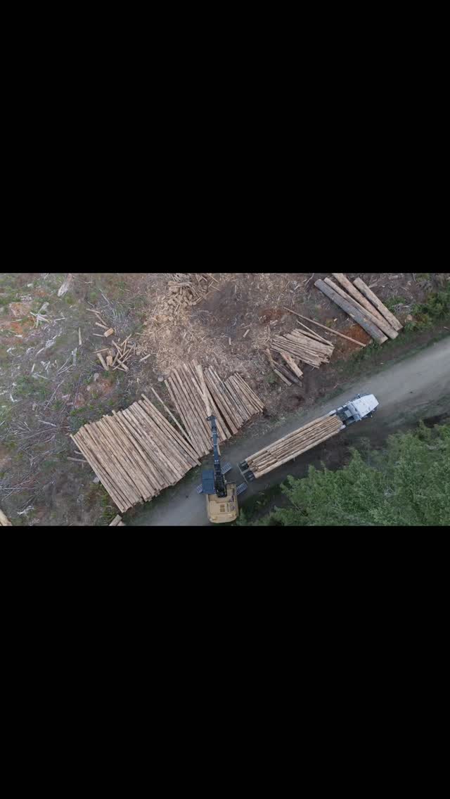Another load, ready to roll. šš²
Thereās nothing quite like the rhythm of a well-run landing.
From forest to mill, this is where the job gets done. šŖ
#ChiltonLogging #LoggingLife #PNWLogging #TimberIndustry #LogTruckLoad #ForestryWork #InTheWoods #LoggingCrew