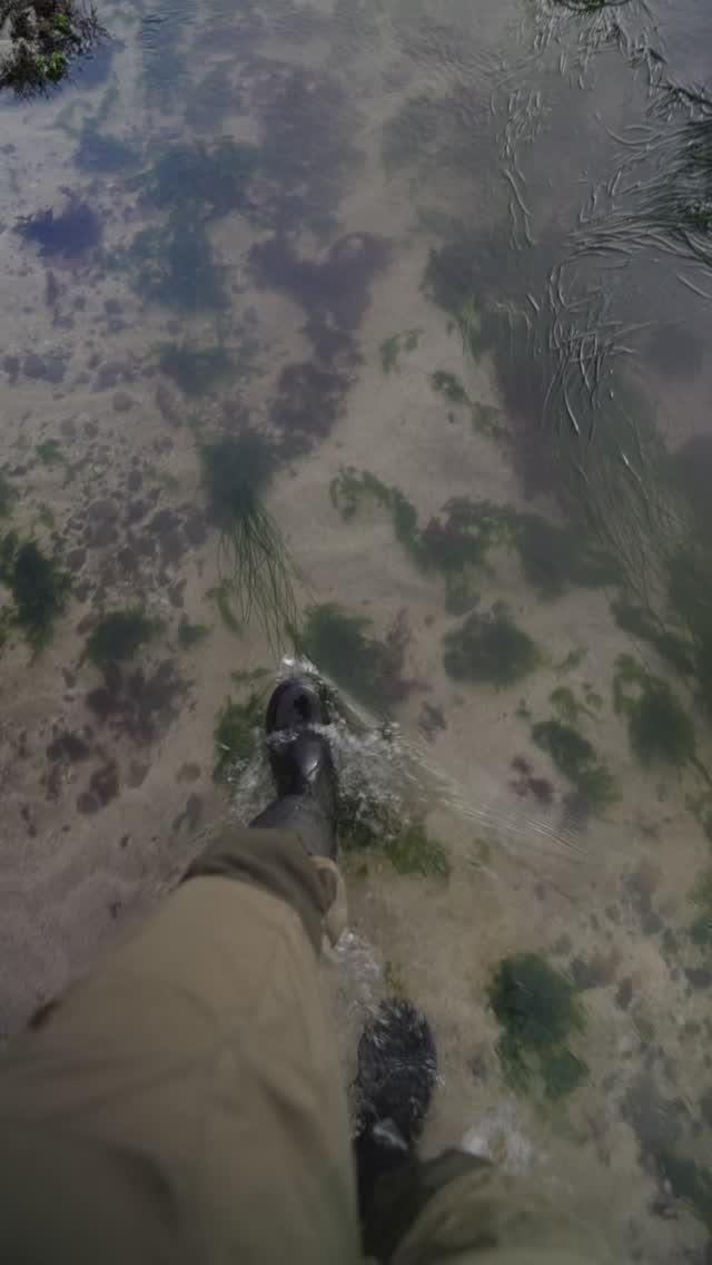 Tide pooling in San Francisco during king tide! 🌊🌕🐟🦀🐙
#tidepool #ocean #sf #nudibranch #nature