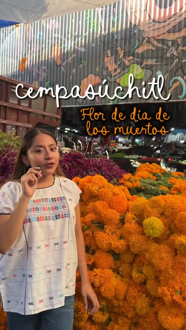 El cempasúchitl también se come! Es una flor típica de la temporada, que además de decorar los altares, también tiene propiedades benéficas para la salud .
Desde el Mercado Jamaica, te cuento cómo la ciencia y la tradición se entrelazan
#díademuertos #mexico #mercado #nutricion #saludybienestar #cempasuchil #fyp #ciencia #sabiasque #viralreels