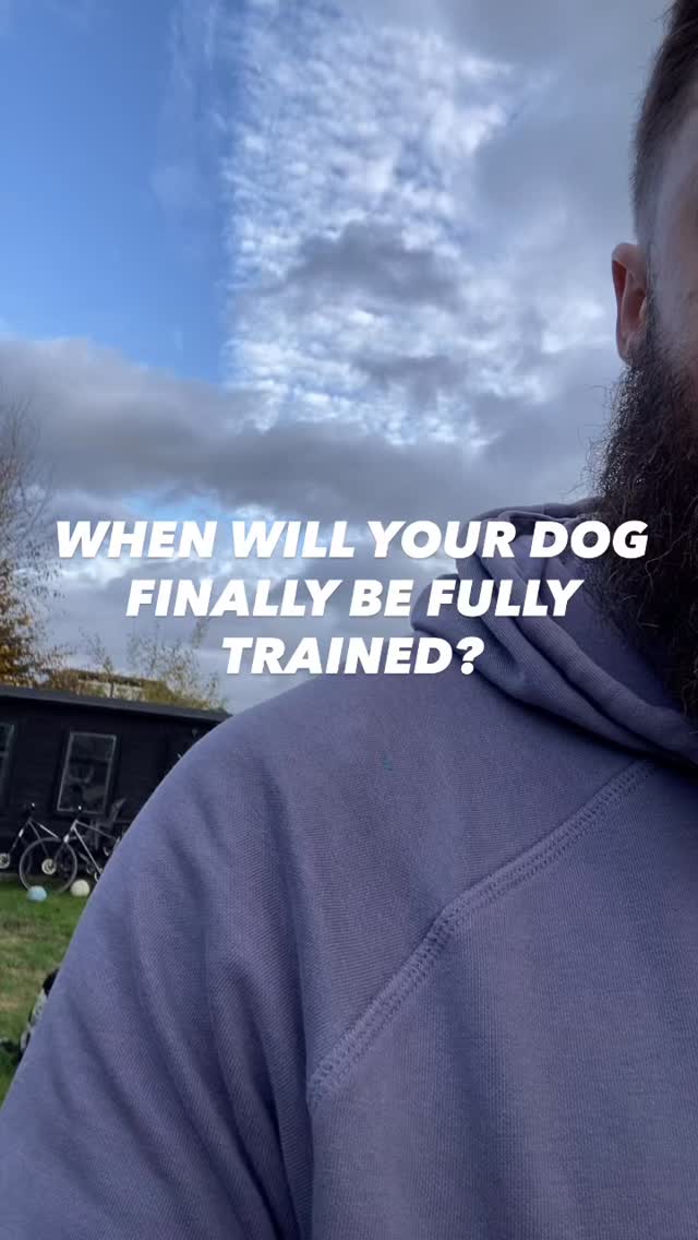 When will my dog finally be fully trained?
The reality is they will never be a finished product
You can achieve having a well trained dog
But in reality a dog is in training for life
You put in the work and teach them what behaviour is expected of them
Eventually they understand what is expected of them ( a well trained dog)
But…you have to reinforce it FOREVER!
The moment you slack on what you expect from your dog
Is the moment they will start to push boundaries and do what’s easy for them, not what you expect of them
Need help training your dog?
Pop us a dm and let’s chat
#chalfontstpeter #chalfontstgiles #gerrardscross #dogwalking #dogwalker🚶🏻♂️🦮💨 #seergreen #beaconsfield #dogtrainer #dogtraining