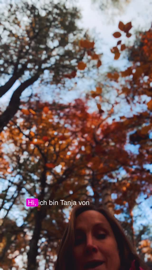 ✨Du möchtest mehr Geduld in dein Leben bringen? 🧘🏼♀️✨
Dann hab ich hier einen Tipp für dich:
✨Such dir ein Objekt, das sich interessant anfühlt:
einen Stein, eine Muschel, eine Kastanie oder was dir sonst so haptisch gefällt.
✨Steck es mit der Intention an deiner Geduld zu arbeiten in deine Lieblingsjacke (also in die, die du gerade am häufigsten trägst).
✨Jedes Mal wenn du das Objekt findest, wird es dich wie ein kleiner Anker daran erinnern, an deiner Geduld zu arbeiten.
Das klappt natürlich nicht nur mit Gelduld, sondern mit jeder Eigenschaft an der du arbeiten möchtest 😉.
Probier es mal aus - du wirst dich wundern, wie gut es funktioniert.
Lass gern etwas Liebe ❤️.
Deine Tanja
von Ich liebe Yoga
#geduld #ichliebeyoga #yogaliebe #soulspace #wetterruhr #yogastudio #yogalehrerin #deineyogalehrerin #yoga #anker #selfcaretip