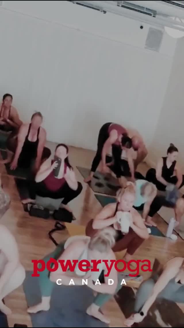 Ready to build strength, flexibility, and a positive mindset? It starts on the mat.
At Power Yoga Canada Sudbury, we believe yoga is for everyone, regardless of your experience. We offer a variety of classes each day so you can find a time and style that works for you. Our community is supportive, our instructors are world-class, and our studio is waiting for you.
Take the first step on your yoga journey with our Intro Special: 30 days of unlimited yoga for just $59.
Find your perfect class at pycsudbury.com.
#yoga #hotyoga #sudbury #ontario #health #wellness #poweryogacanada #heatingupthenorth #fitness #exercise