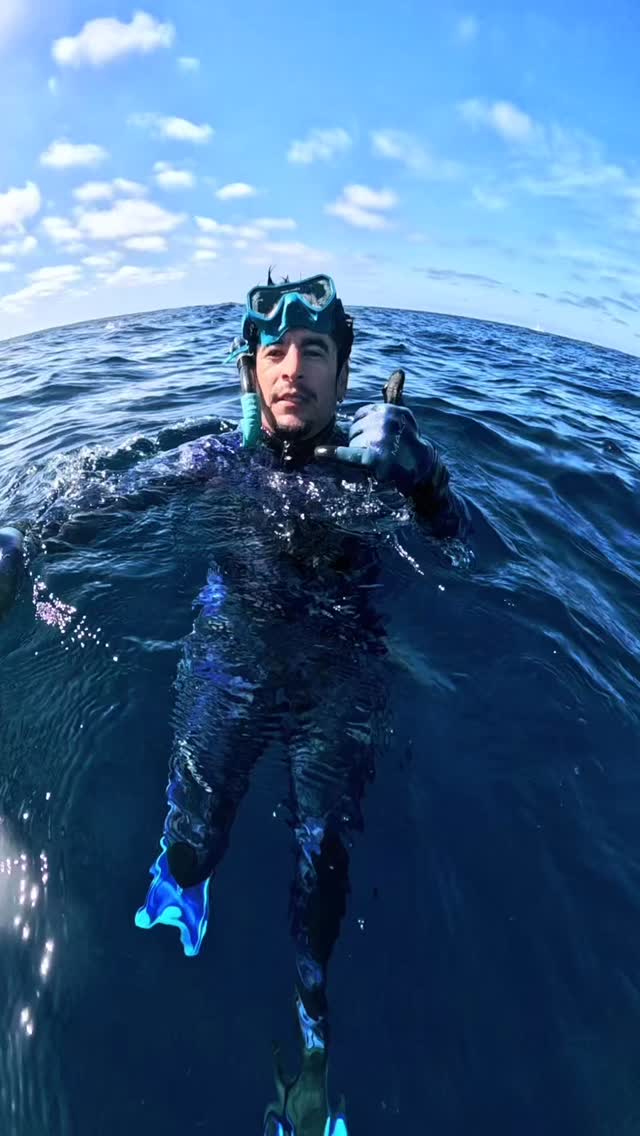 “¡Estamos en plena Carrera de la Sardina Mexicana! 🐟🔥
Miles de sardinas se concentran aquí, frente a Bahía Magdalena, y todo el océano cobra vida: marlines rayados, lobos marinos, delfines y hasta aves cazando sobre nosotros.
Es una experiencia única en el mundo, nadar entre este espectáculo natural es algo que no se olvida jamás. 🌊
Si siempre soñaste con vivirlo, esta es tu oportunidad.
Ven con Murillos Bros Adventours a la Expedición Bolas de Carnada y sé parte del fenómeno natural más impresionante del Pacífico mexicano.
📅 Temporada: octubre a diciembre
📍 Puerto San Carlos, Bahía Magdalena, Baja California Sur
¡Te esperamos para vivir la verdadera aventura bajo el agua! 🐬🐋💙
Reserva tu lugar ahora 👇🏼
🌐 www.murillosbrosadven-tours.com
📧 murillosbros@gmail.com
📞 WhatsApp: +52 613 1168050
#BolasDeCarnada #CarreraDeLaSardinaMexicana #MurillosBrosAdventours #MagBay #BahíaMagdalena #MarlinRun #WildlifeMexico #NatureExperience #SnorkelMexico #AventuraBajoElAgua #ExpediciónBolasDeCarnada #OceanLife #MurillosBros #MarlinCazando #MexicoTours