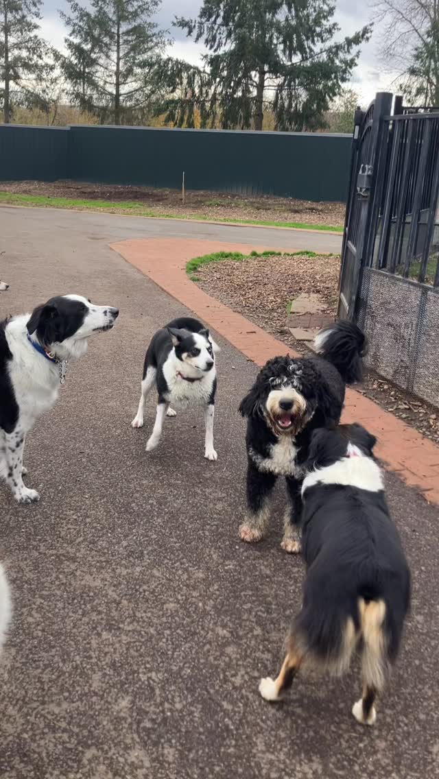 Louis is ready to play!