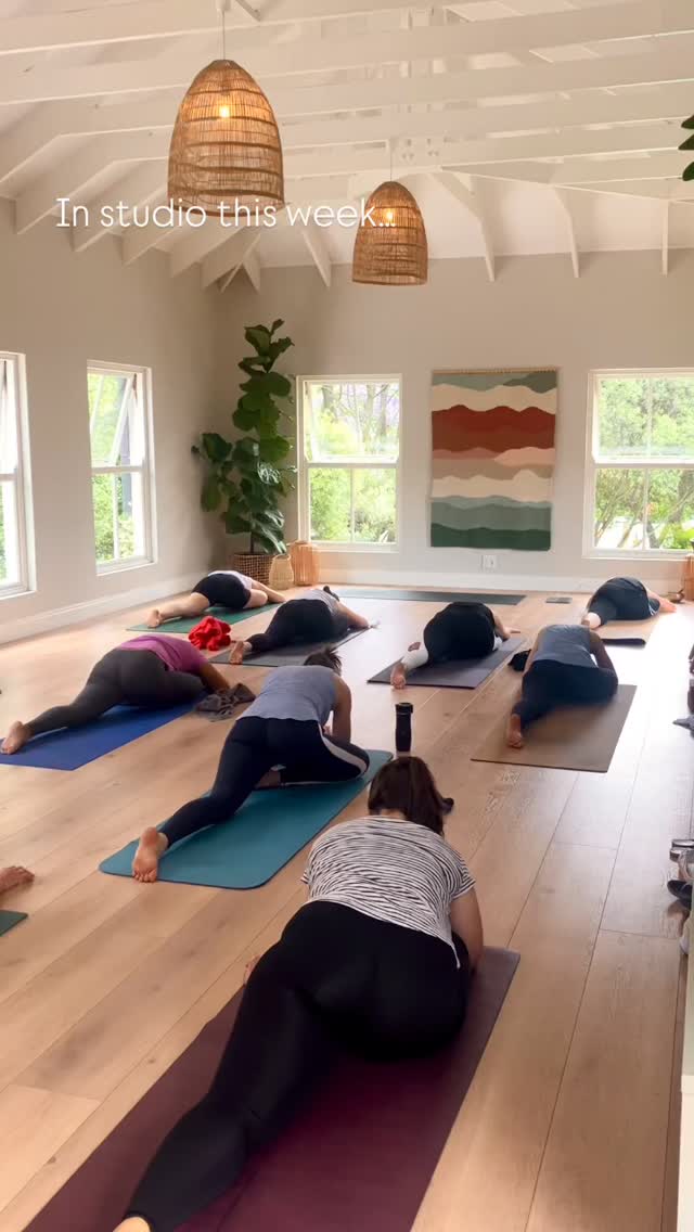 There’s an ebb and flow to this work —
Some days the studio is alive with movement and laughter, other days it’s a sanctuary of stillness, where only one breath fills the space.
My class theme this week was inspired by this Jozi season — the contrast between the soft lilac rain of blossoms and the charged, electric skies of thunderstorms. In class, we explored that same balance: the quiet and the charge, the softness and the surge — how both can, and sometimes need to, coexist.
The studio couldn’t have been a better mirror for that this week. A reminder I didn’t know I needed.
And maybe this is a gentle reminder for all of us — it’s natural to share the moments that look full, polished, alive — the sold-out retreats, the bustling classes, the lively workshops and trainings, the ones that catch the eye. But the quiet ones count just as much. The slower seasons, the pauses in between. The waiting and wondering if anyone will arrive for class. They’re part of the rhythm. They’re part of the practice.
Grateful for friends like @joyfulyogi to share ALL the seasons of running a studio — and for this beautiful community who shows up for it all.
The bright, busy days.
The slow, quiet ones.
Both are yoga.