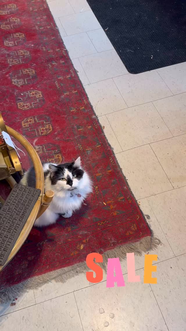 Marking some items down 50% on this snowy morning. Time to make room for some holiday pieces that are coming in soon!!