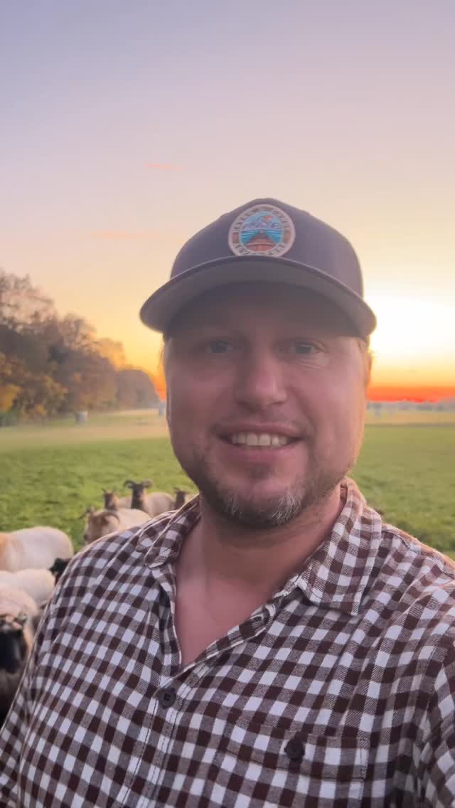 De crowdfunding voor de wolf werende afrastering loopt supergoed! Binnen nog geen twee weken hebben we al ruim 70% van het doelbedrag aan donaties ontvangen. Ik wil iedereen super bedanken voor jullie bijdrage 🙏❤️. Ik vind het hartverwarmend dat er zoveel mensen zijn die mijn schapen willen steunen op deze manier. En het gaat lukken hoor! Hier even een korte update vanaf de schapenweide bij zonsondergang. ☀️
#crowdfunding #schaapskudde #wolf