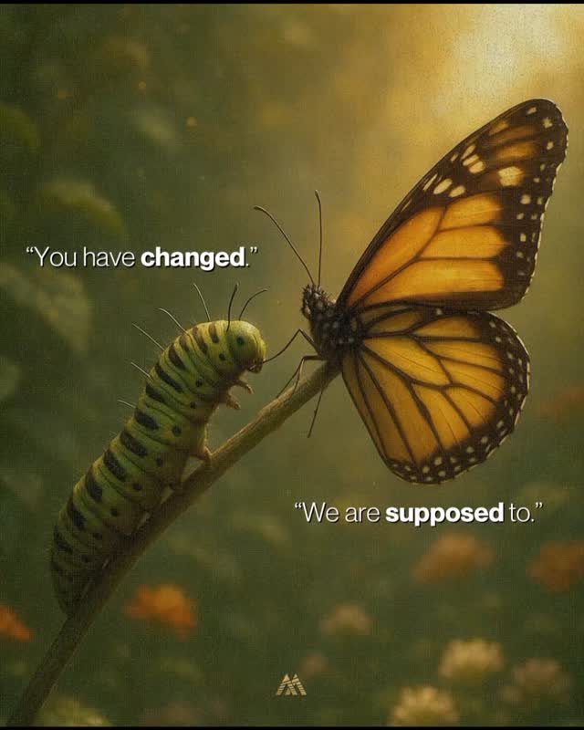 The WILD BEAR way. Thank you @mindset.therapy